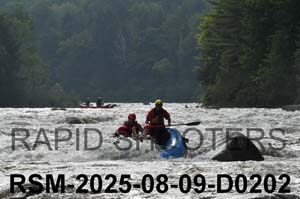 RSM-2025-08-09-D0202