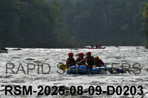 RSM-2025-08-09-D0203