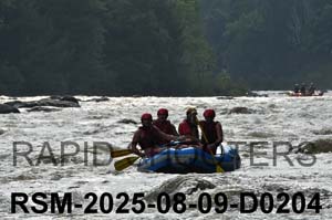 RSM-2025-08-09-D0204