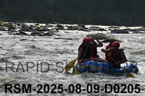 RSM-2025-08-09-D0205