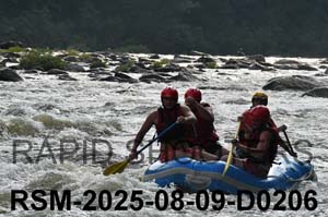 RSM-2025-08-09-D0206