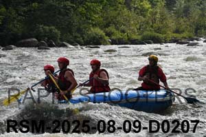 RSM-2025-08-09-D0207
