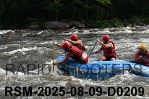 RSM-2025-08-09-D0209