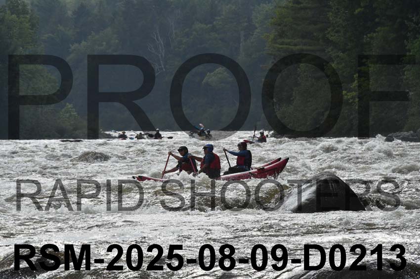 RSM-2025-08-09-D0213