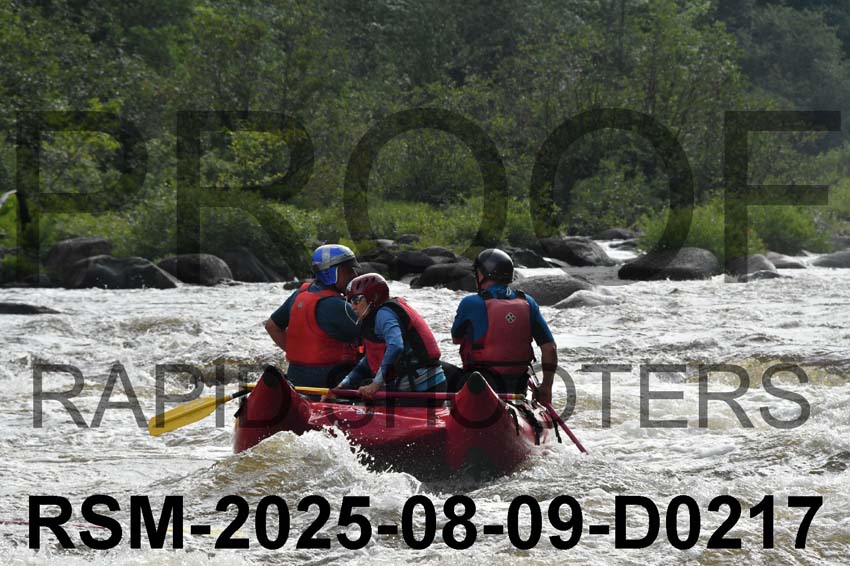 RSM-2025-08-09-D0217