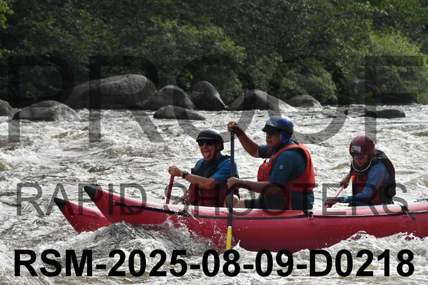 RSM-2025-08-09-D0218