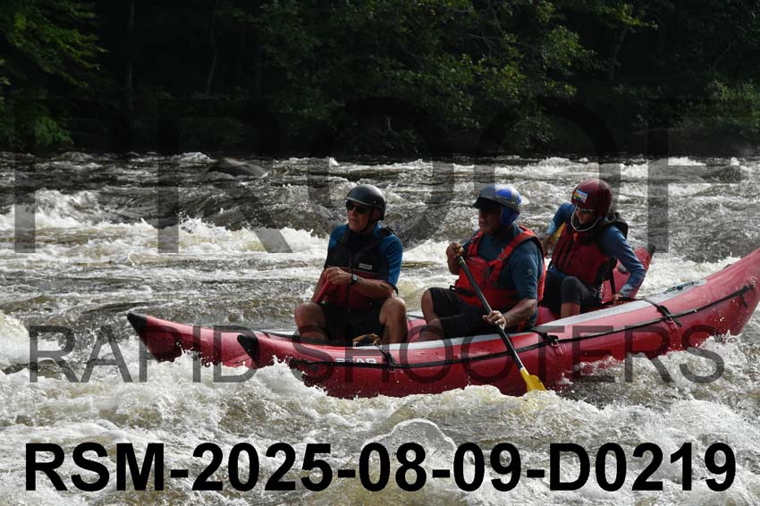 RSM-2025-08-09-D0219