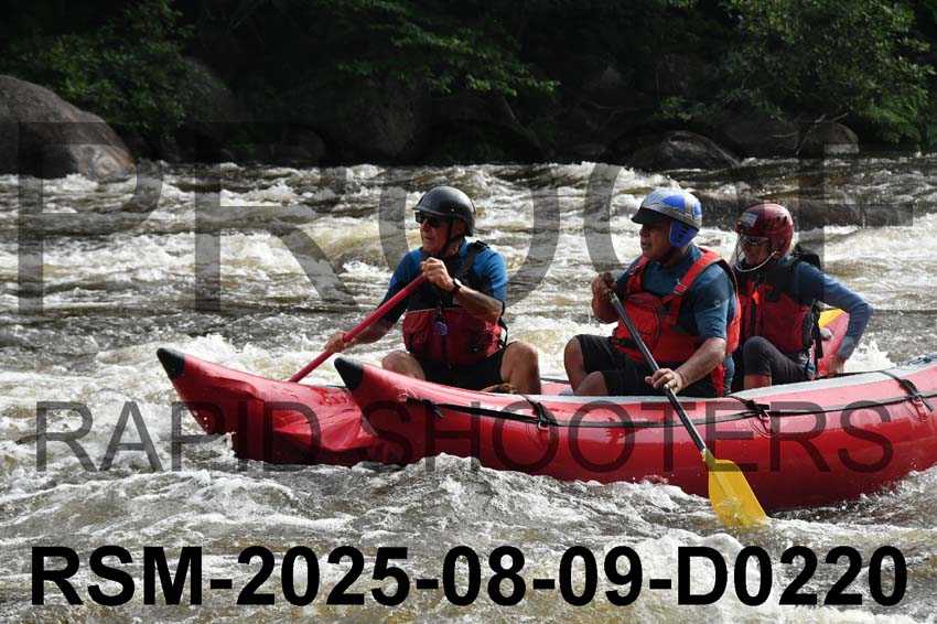 RSM-2025-08-09-D0220