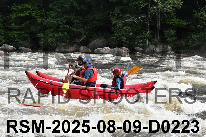 RSM-2025-08-09-D0223