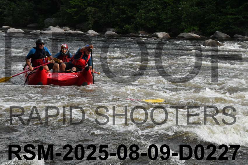 RSM-2025-08-09-D0227