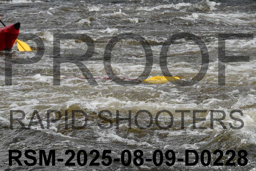 RSM-2025-08-09-D0228