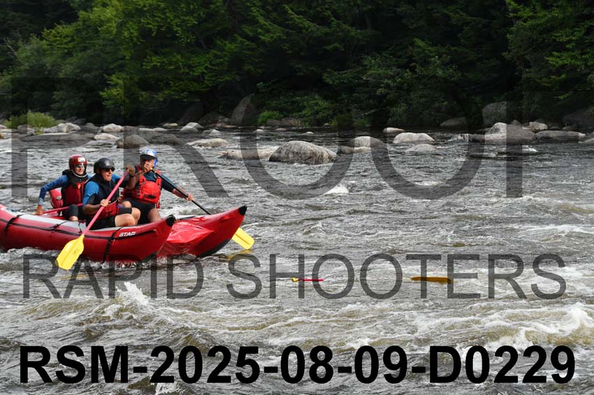 RSM-2025-08-09-D0229
