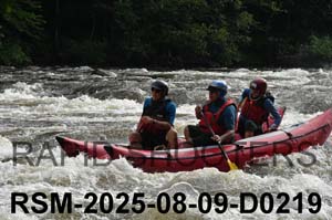 RSM-2025-08-09-D0219