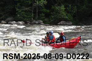 RSM-2025-08-09-D0222