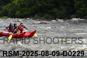 RSM-2025-08-09-D0229