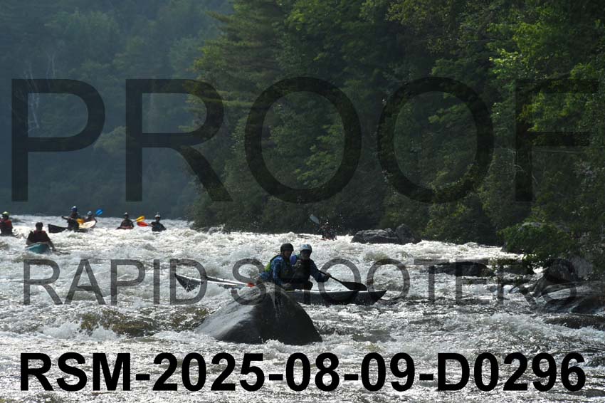 RSM-2025-08-09-D0296