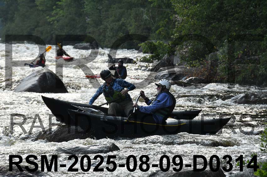RSM-2025-08-09-D0314