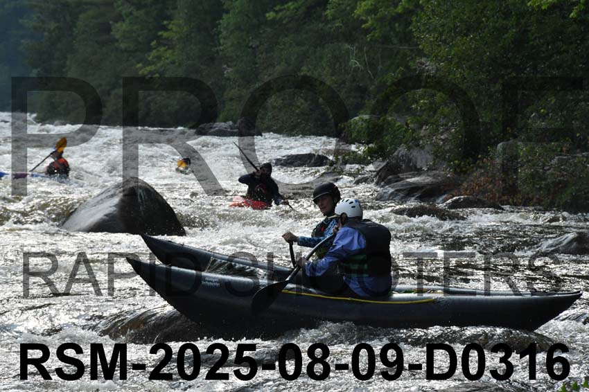 RSM-2025-08-09-D0316
