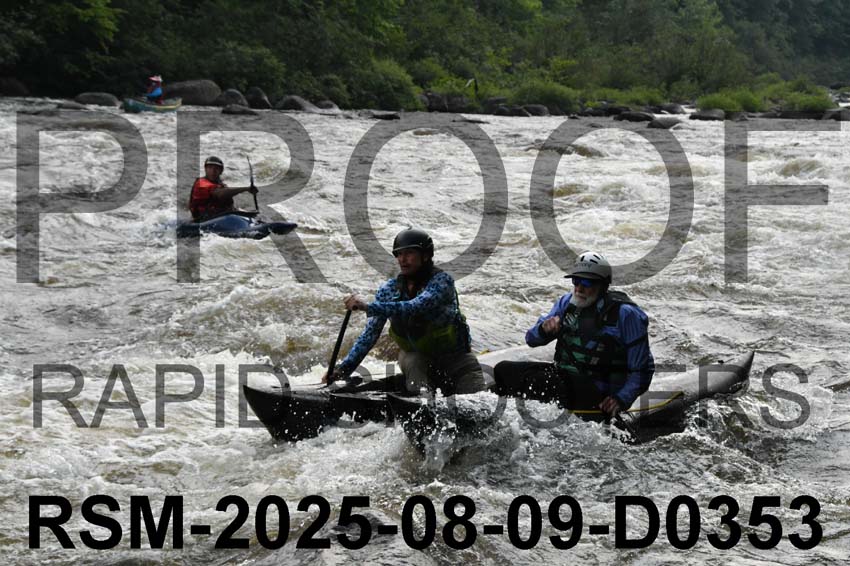 RSM-2025-08-09-D0353