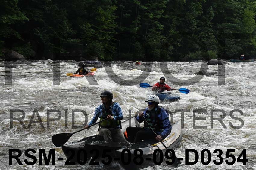 RSM-2025-08-09-D0354