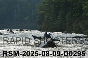RSM-2025-08-09-D0295