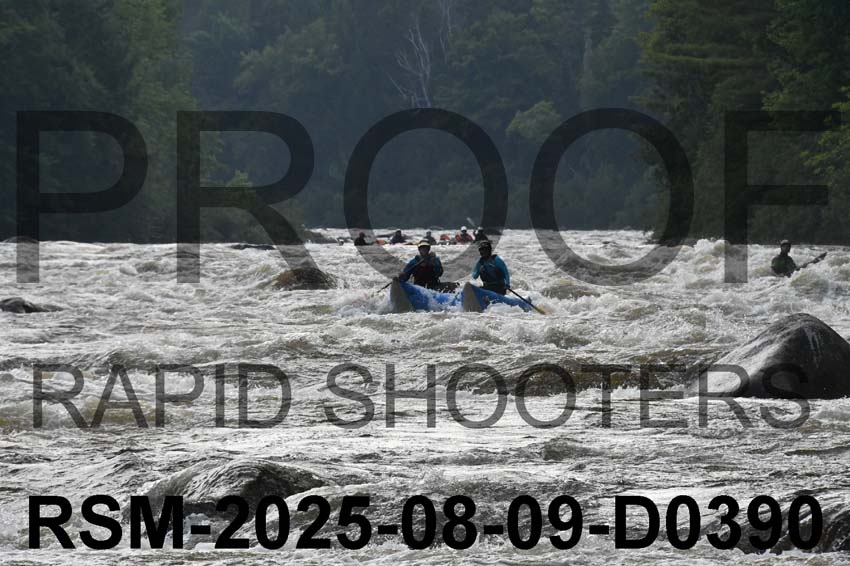 RSM-2025-08-09-D0390
