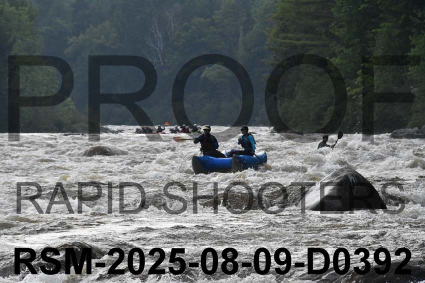 RSM-2025-08-09-D0392