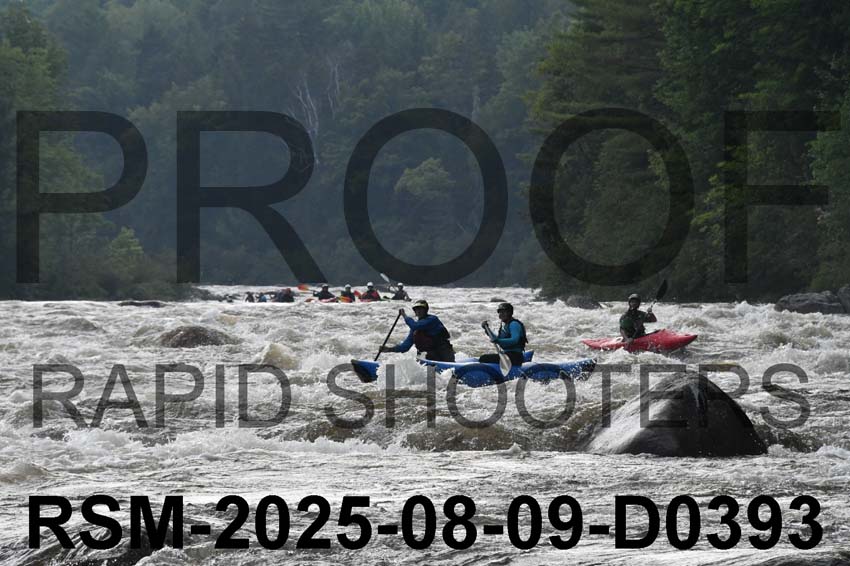 RSM-2025-08-09-D0393