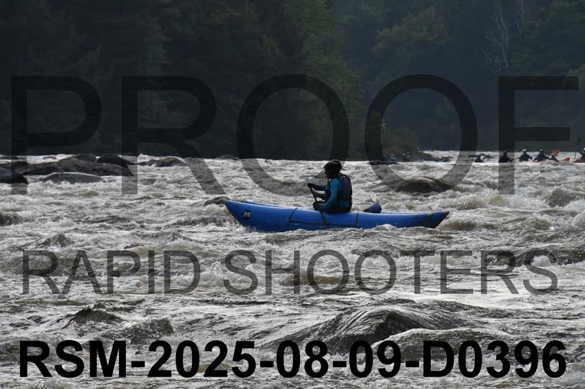 RSM-2025-08-09-D0396