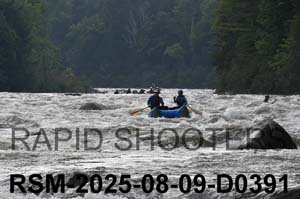 RSM-2025-08-09-D0391