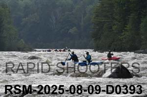 RSM-2025-08-09-D0393