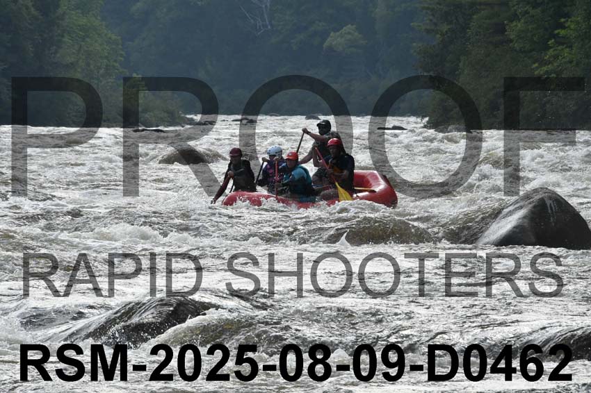 RSM-2025-08-09-D0462