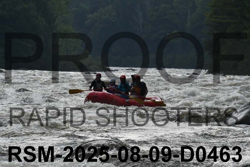RSM-2025-08-09-D0463