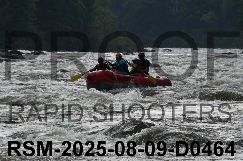 RSM-2025-08-09-D0464