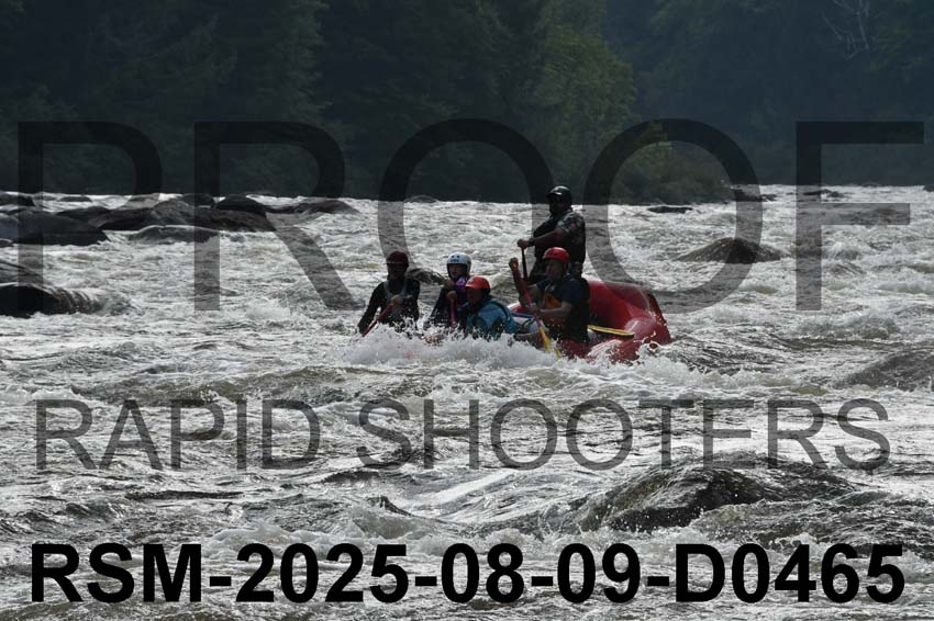 RSM-2025-08-09-D0465