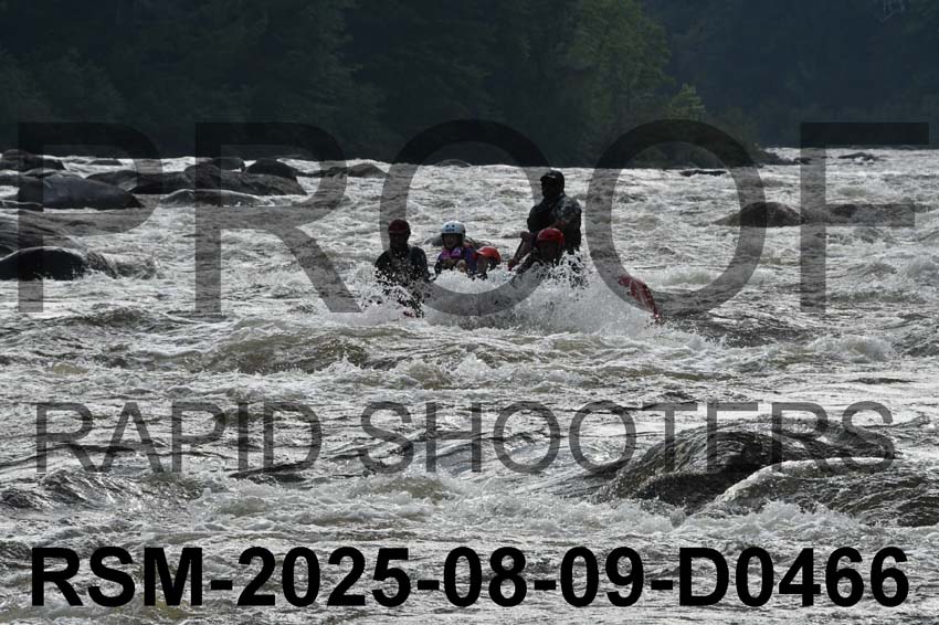 RSM-2025-08-09-D0466