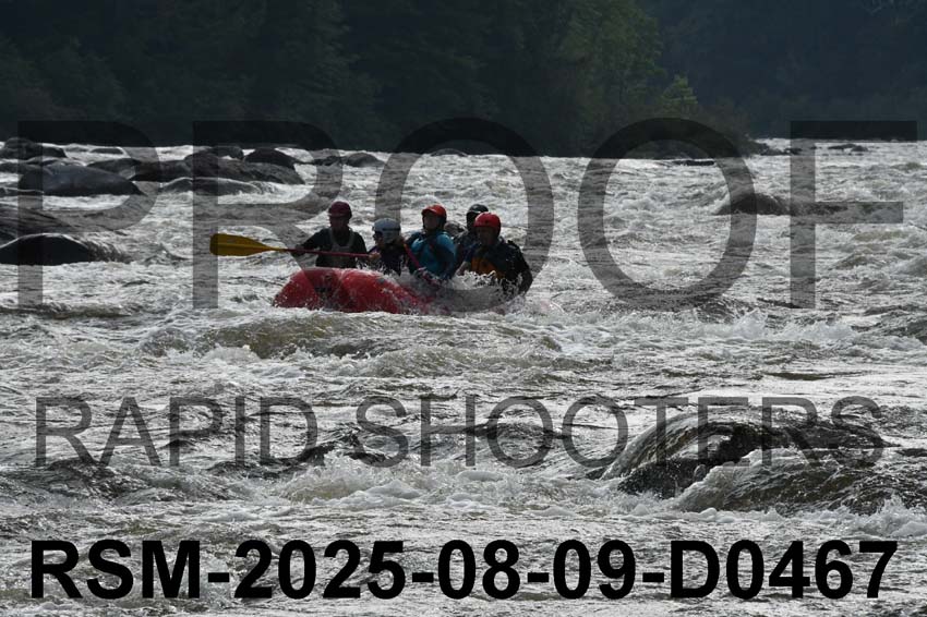 RSM-2025-08-09-D0467