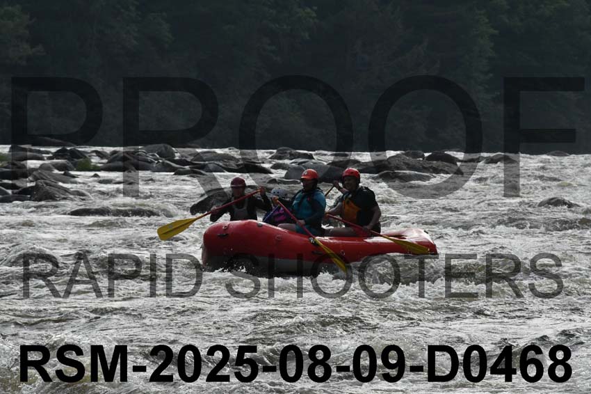 RSM-2025-08-09-D0468