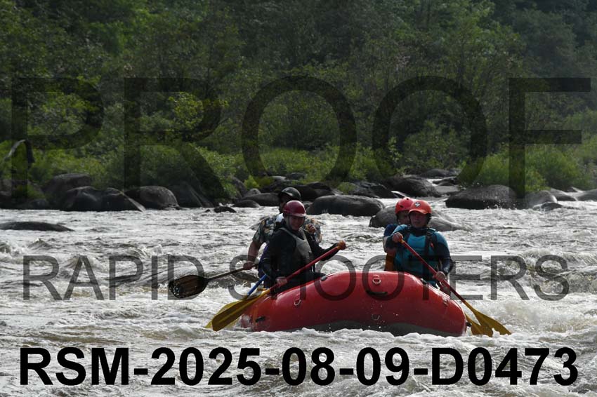RSM-2025-08-09-D0473