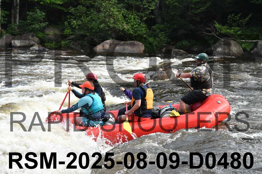 RSM-2025-08-09-D0480