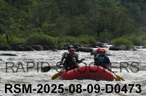 RSM-2025-08-09-D0473