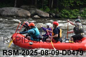 RSM-2025-08-09-D0479