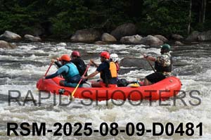RSM-2025-08-09-D0481