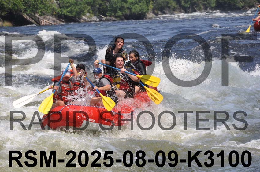 RSM-2025-08-09-K3100