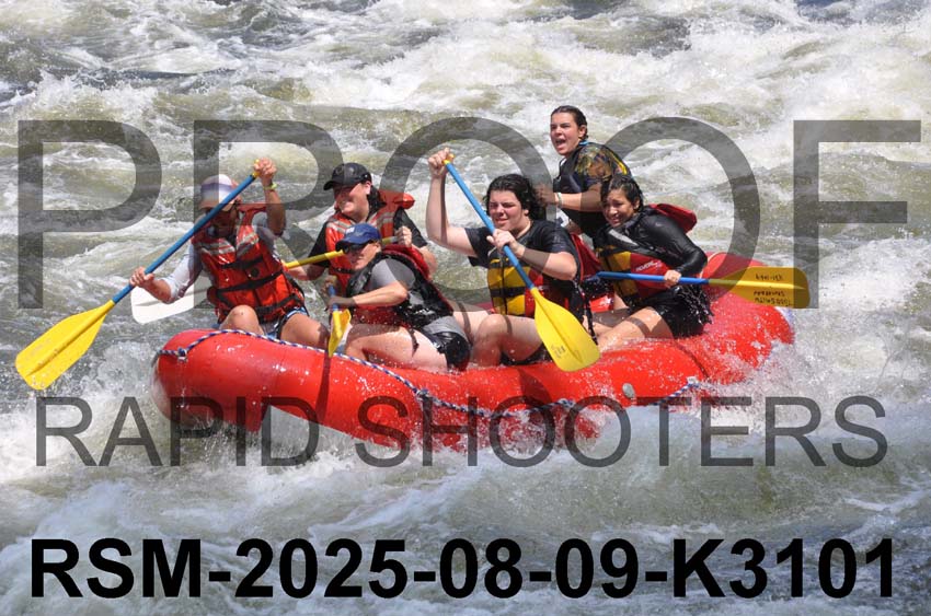 RSM-2025-08-09-K3101