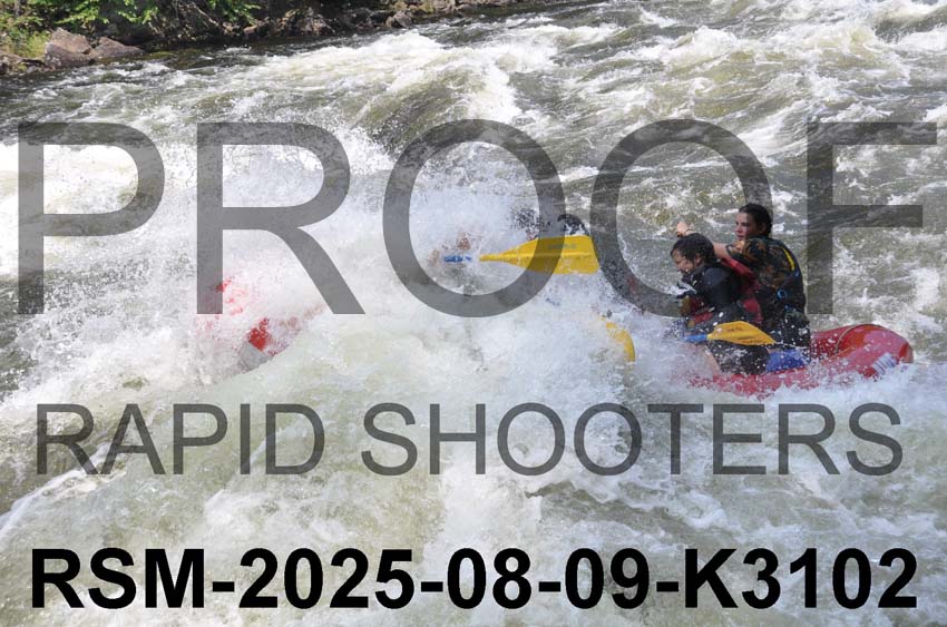 RSM-2025-08-09-K3102