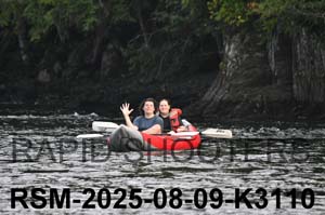 RSM-2025-08-09-K3110