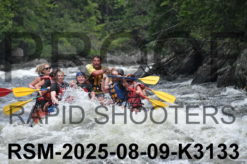 RSM-2025-08-09-K3133
