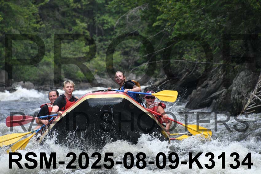 RSM-2025-08-09-K3134