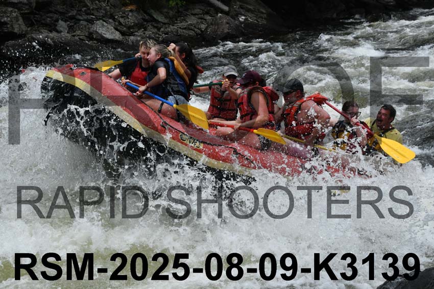 RSM-2025-08-09-K3139